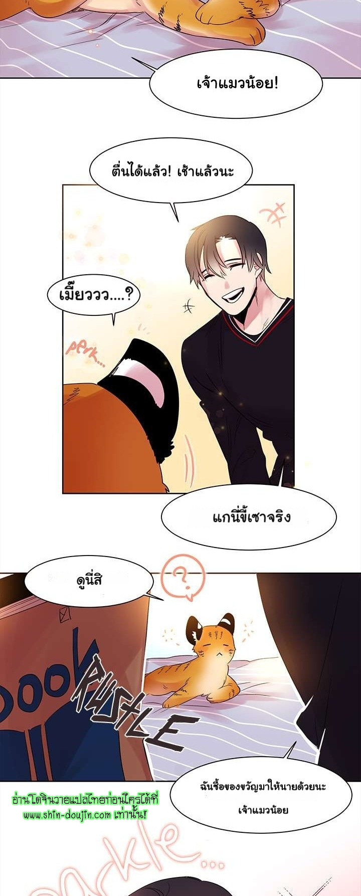 Cat in a Cardboard Box EP 4